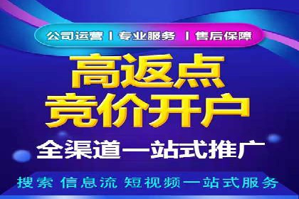 行业领先企业的关键词竞价排名实战案例